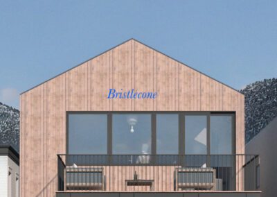 Bristlecone Exterior - S&T Construction Buena Vista, Colorado
