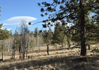 20033EF8 FDA7 4A98 997E B199281176EB 1 105 c