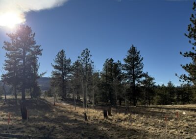 BE6B9C07 6597 49BF 897A 4A87FA046668 1 105 c