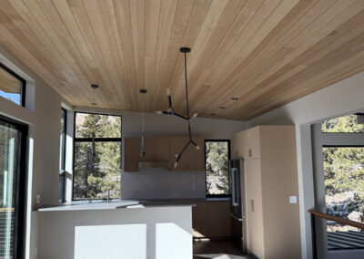 Hybrid Home Construction Modular Stick Built Buena Vista Colorado S and T Construction 2 Hybrid Home Construction Modular Stick Built Buena Vista Colorado S and T Construction IMG 3740