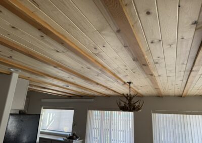 Home Construction Renovation and Garage Addition Buena Vista Colorado S and T Construction 026C3EB9 ACBF 4837 9D12 9F47119C92A7 1 105 c